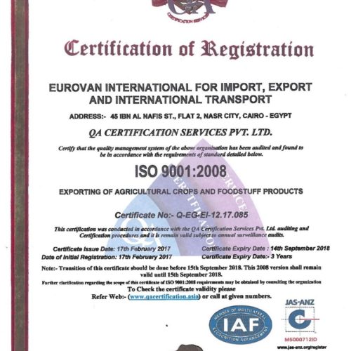 ISO ISO